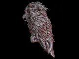 Owl-5