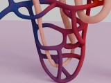 Human Kidney Nephron 3D Model Illustration-3
