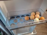 Egg Tray Koenic Multidoor Refrigerator-1
