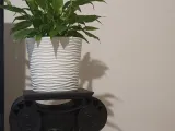 Ionic Pedestal-8