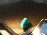 Articulated Realistic Chipmunk Toy-2