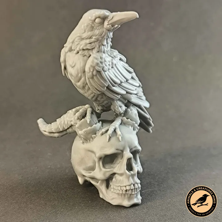 Raven on demon skull