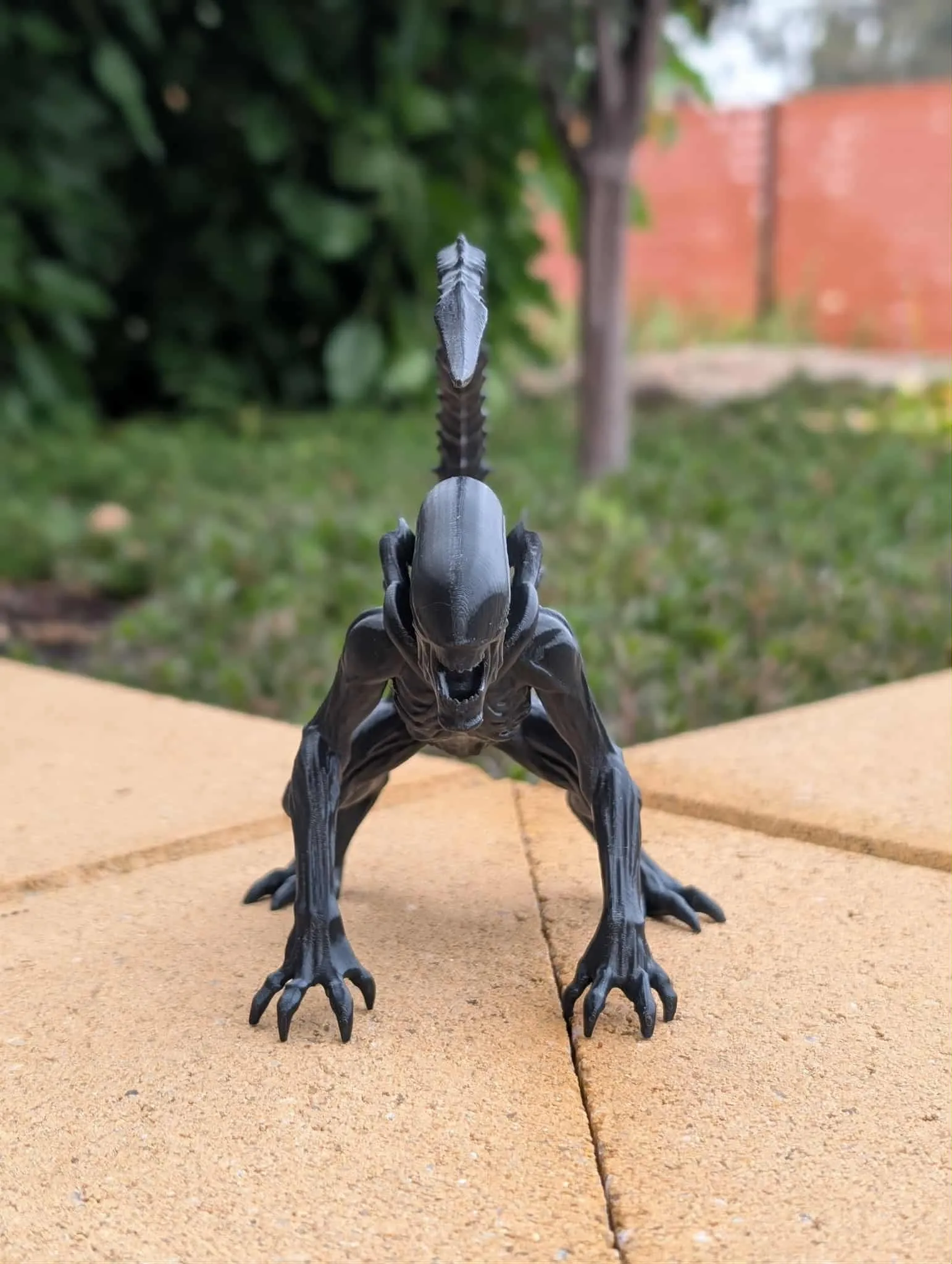 xenomorfo-6