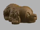 Cocker spaniel sleeping-6
