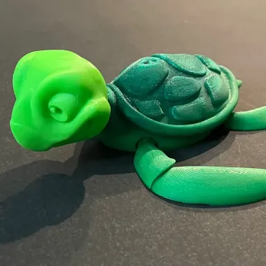 TURTLE - FLEXI-0