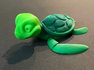 TURTLE - FLEXI-0