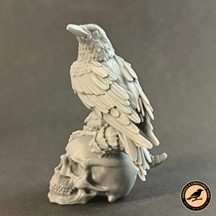 Raven on demon skull