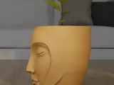 Serenity Face Planter 3D Print Model-3