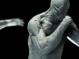 3d model with human musculature x 5 poses for study, anatomy-3