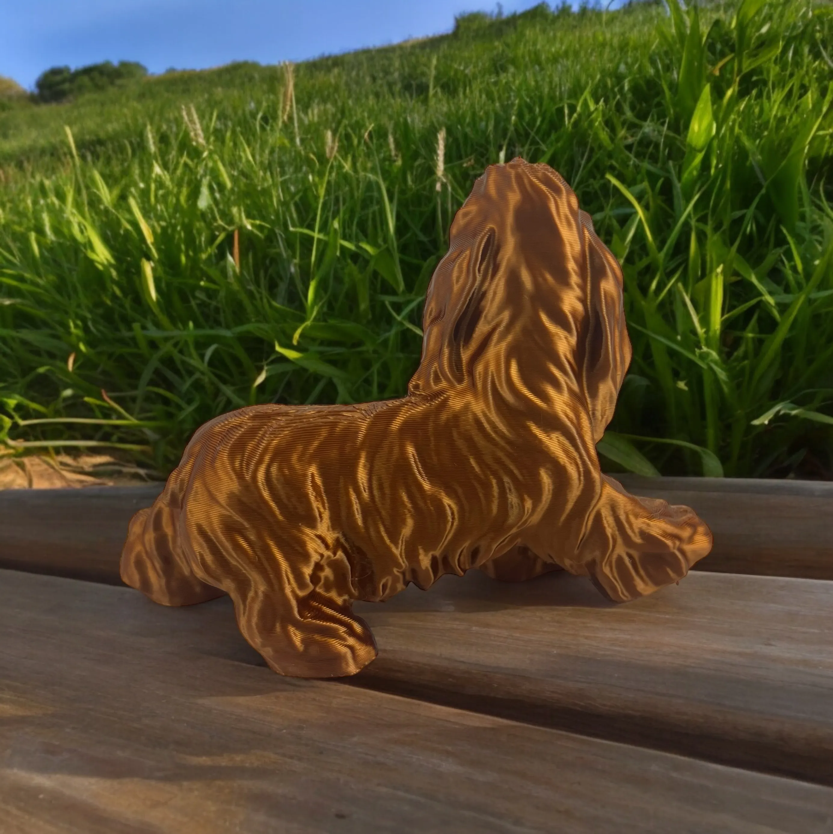 Cocker Spaniel Big
