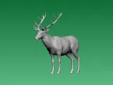 long-horned chamois - 3D print-2