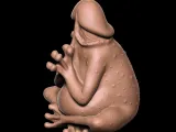 PENIS Frog-2