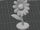 Daisy-2
