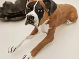 Buldog-1