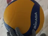 Wall mount ball holder-4