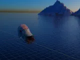 Nautilus-3