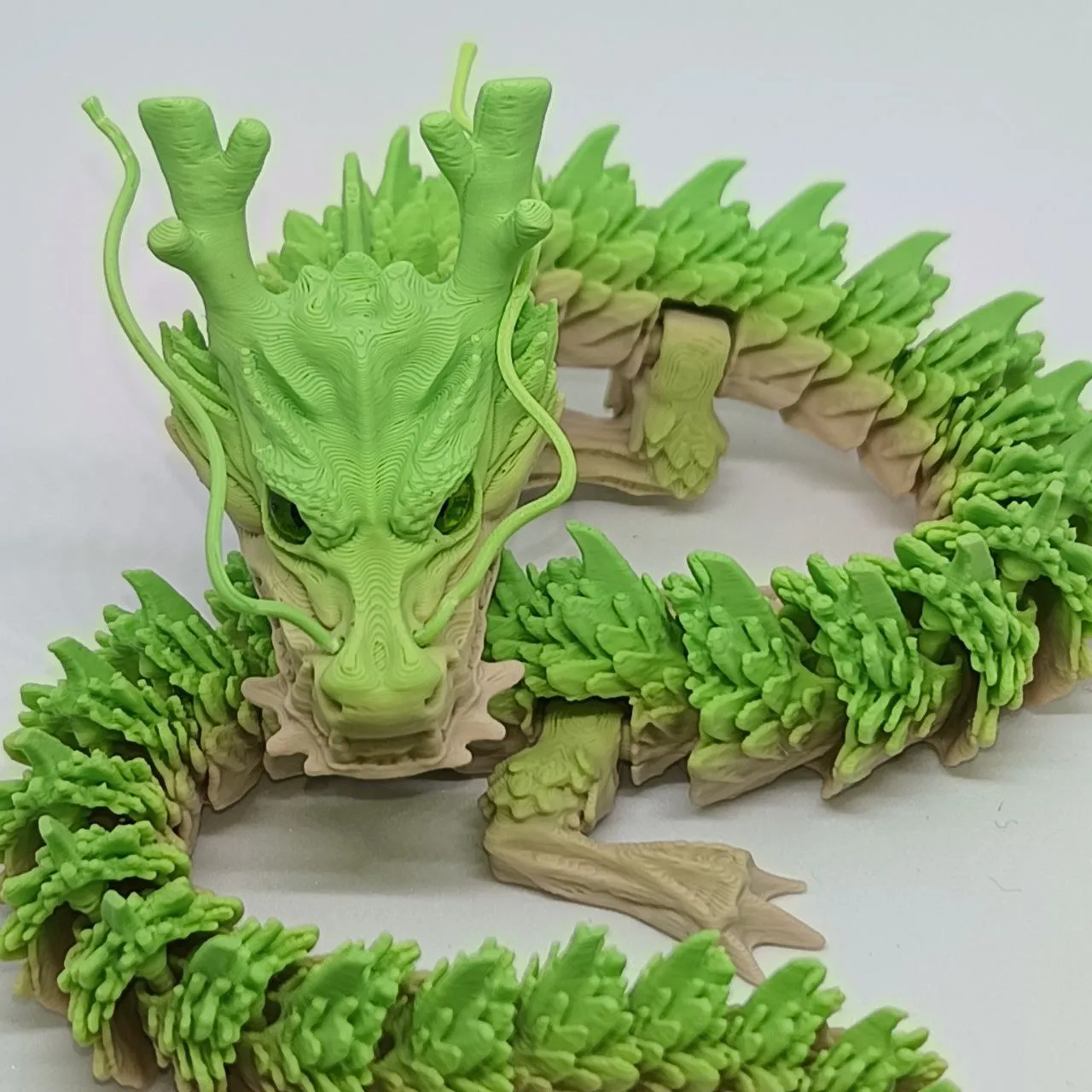 The Chinese Articulated Dragon