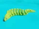 pește anghilă moray-0