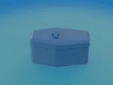Coffin for pet fish-2