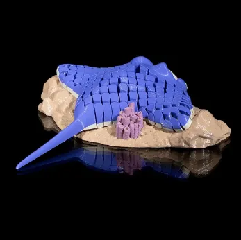 flexi Ray - the Manta Ray