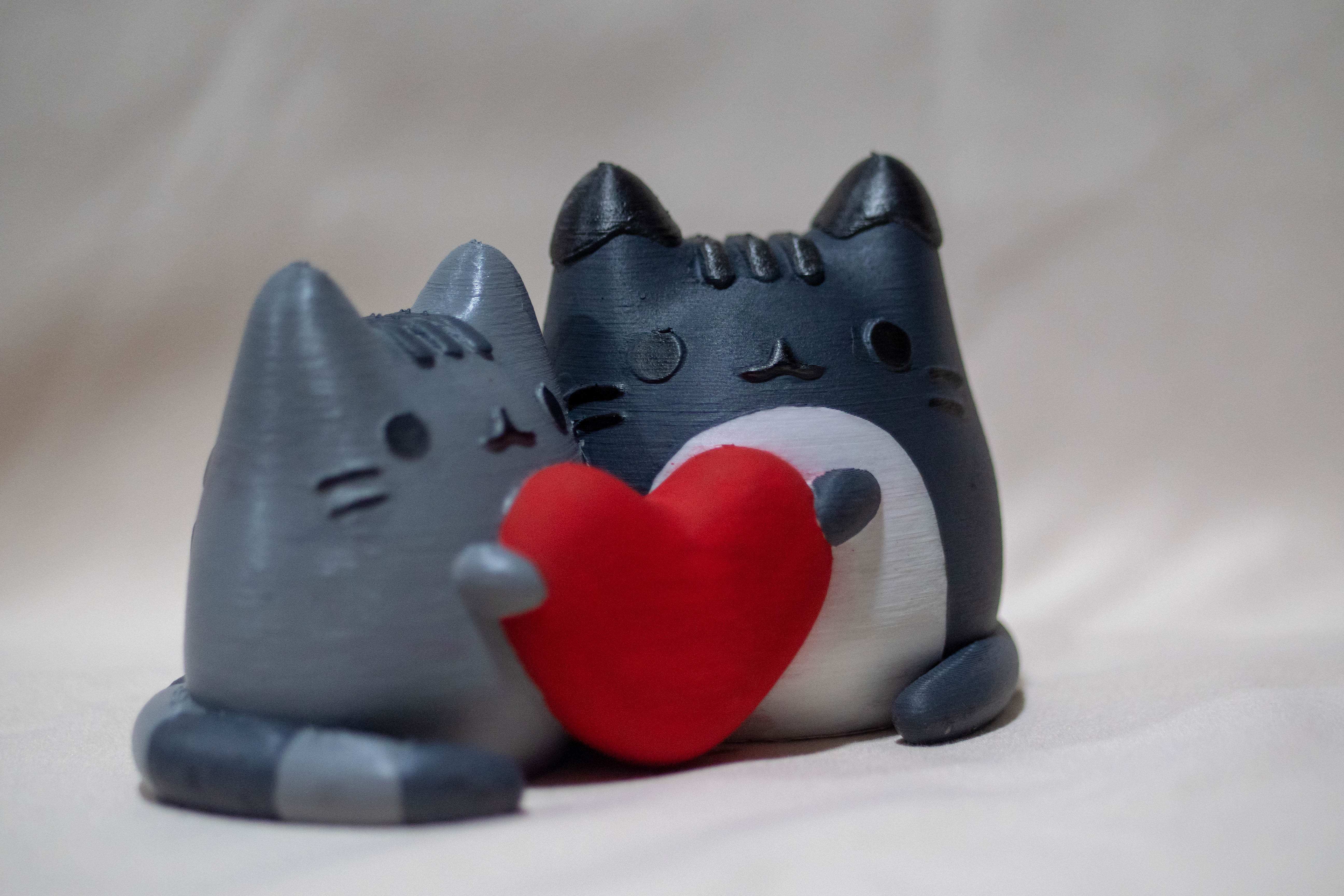 Pusheen X Tommy: a Valentine Model