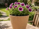 flower pot 001-1