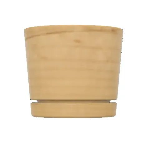 Planter with saucer V1