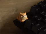 Doggies Keycaps - Mechanical Keyboard-4