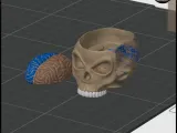 Skull Brain Clickers 💀🧠-3