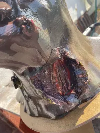 Rotter zombie-1