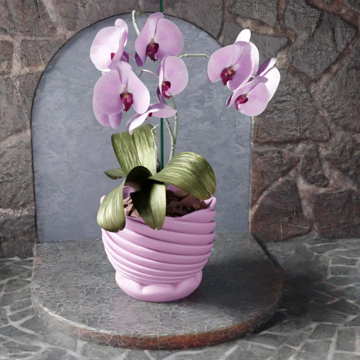 Velara Pot/Planter/Orchid Pot