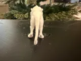 Sabretooth Tiger 2-2