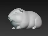 Meerschwein-1