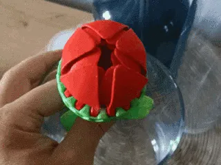Blooming Flower