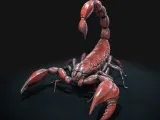 SCORPION-0