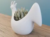 chiken planter-3