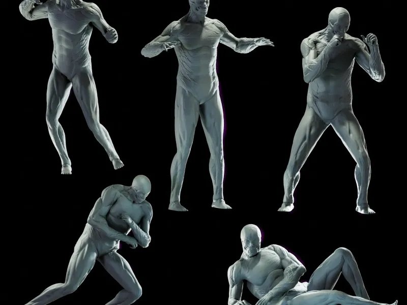 3d model with human musculature x 5 poses for study, anatomy