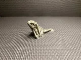 Lizard – Cute Chibi Dragon Hatchling-4