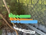 Waterproof plant markers, plastic plant hangers, garden plan-3