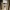 DJI Pocket 2 Mount with Cold Shoe Adapter
