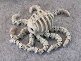 Articulated Skeleton Octopus-6