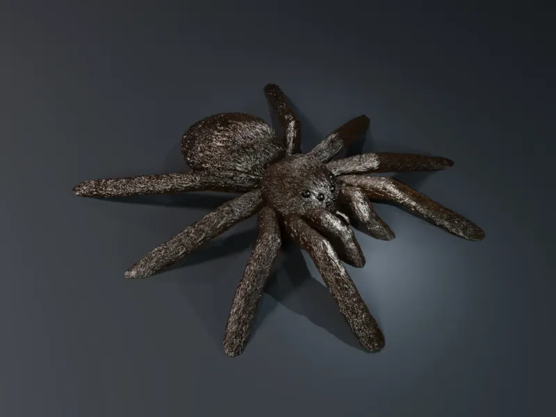 Tarantula