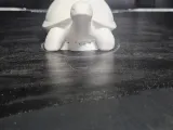 tortue déco-1