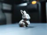 Cute Rabbit-1