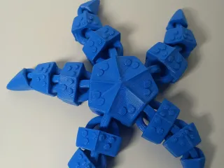 Flexi Starfish