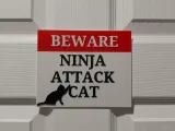 cat warning sign-3