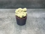 Small Cactus Pot-1