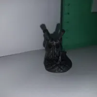 Cali-Dragon-1