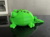 🐸 TadPocket 🐸-5