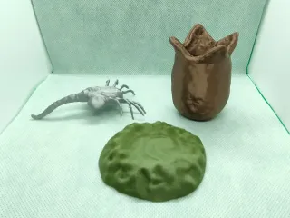 ALIEN AND EGG FACEHUGGER xenomorph